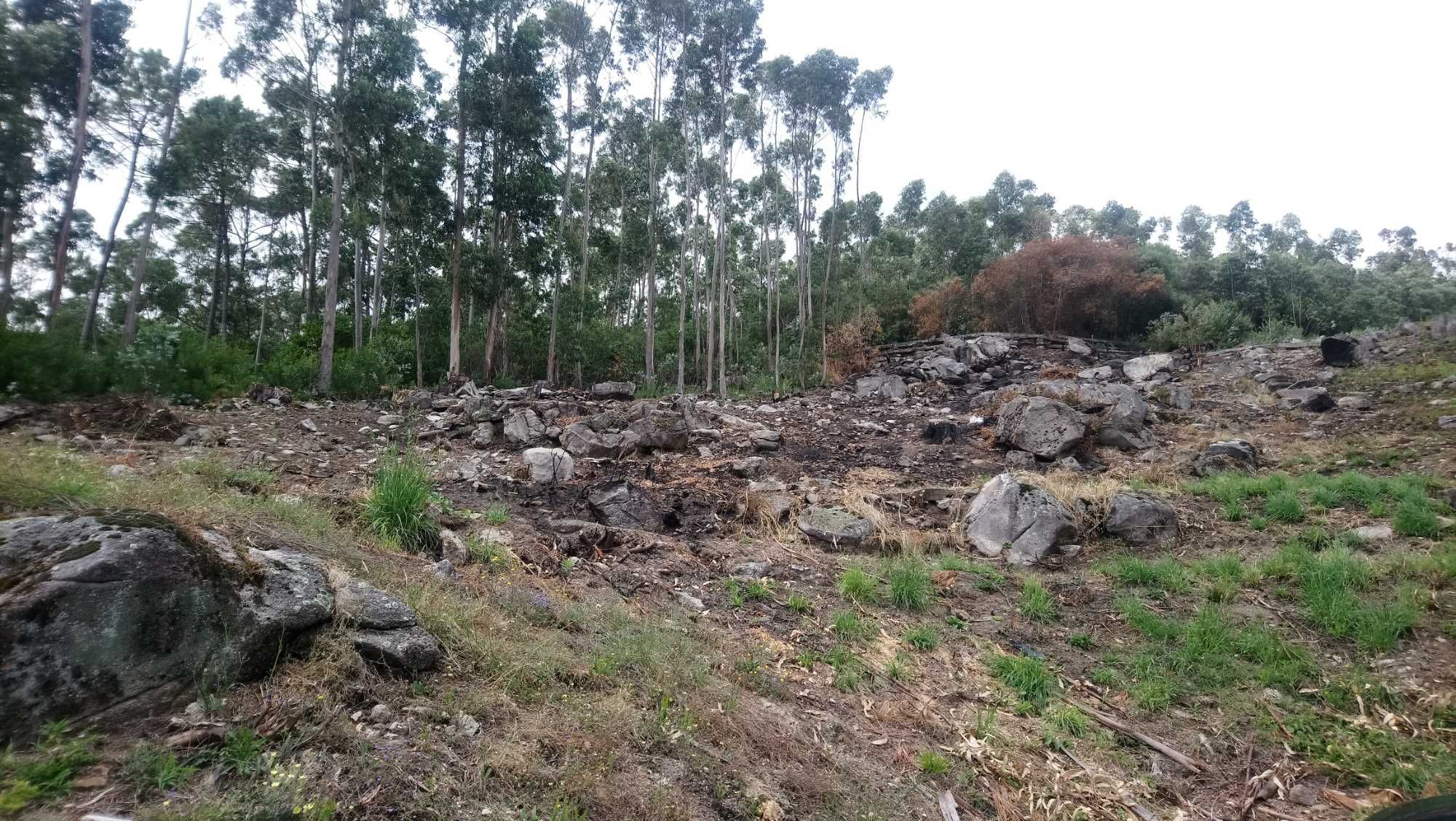 Lote terreno na cova meadela .