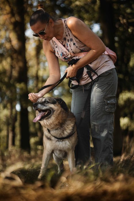 Hagi – rodzinny pies do przytulania, nie do życia za kratami