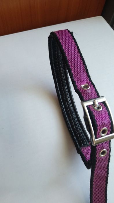 Поводок рулетка для собак.