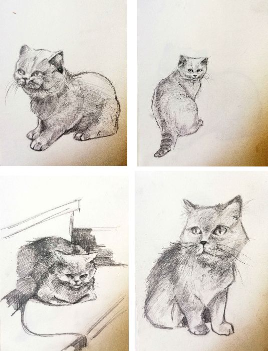 Obraz rysunek ręczny ilustracja kot Gratis ramka