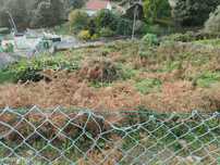 Venda Terreno de Construção situado em Outeiro, Viana do Castelo