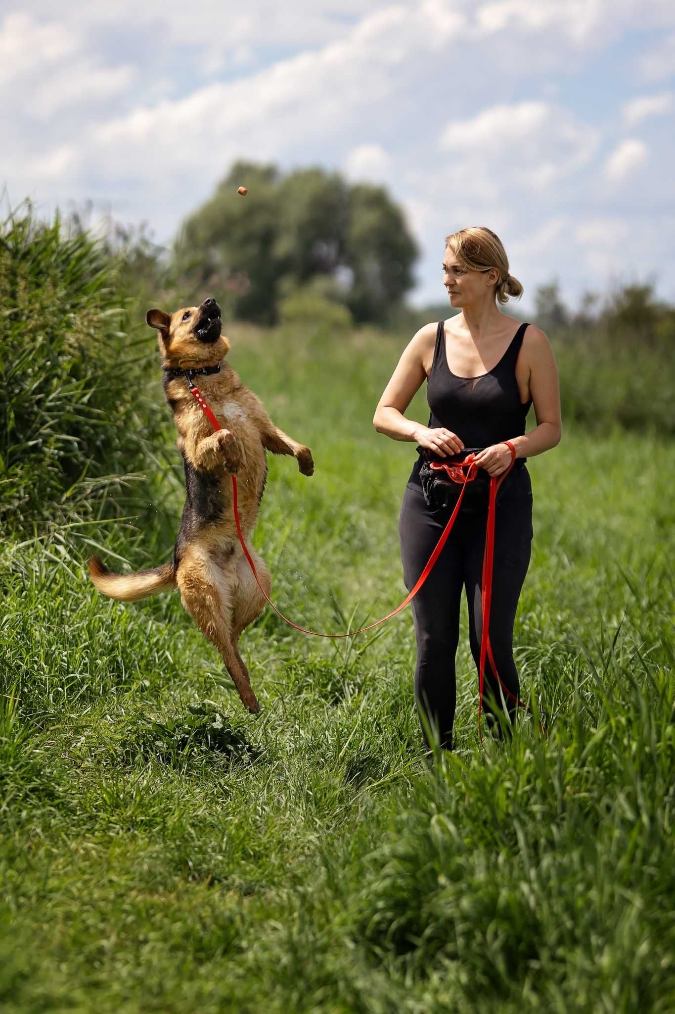 Brutus odebrany interwencyjnie  szuka domu