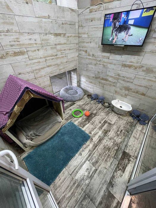 Школа Дресирування навчання Собак Коростень з проживанням Кінолог