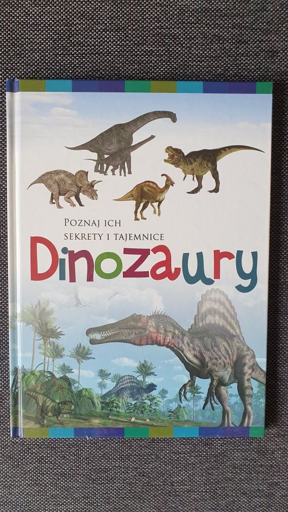 Zestaw dwóch książek o dinozaurach. Okazja