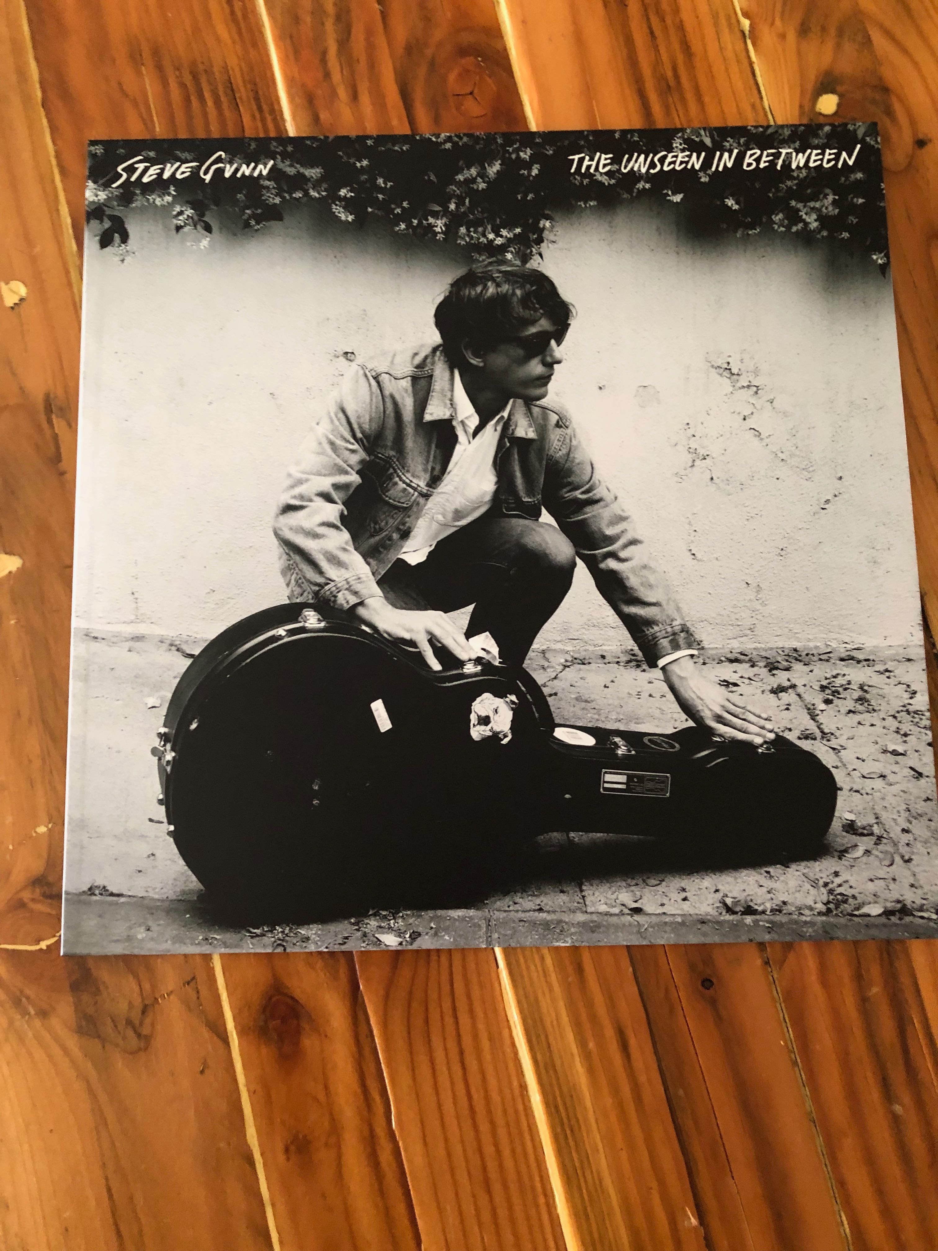 LP Vinil Steve Gunn