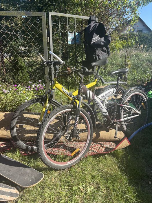 Rowery rower w kazdym stanie