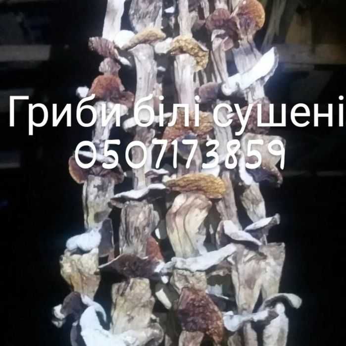 Червона для всіх .