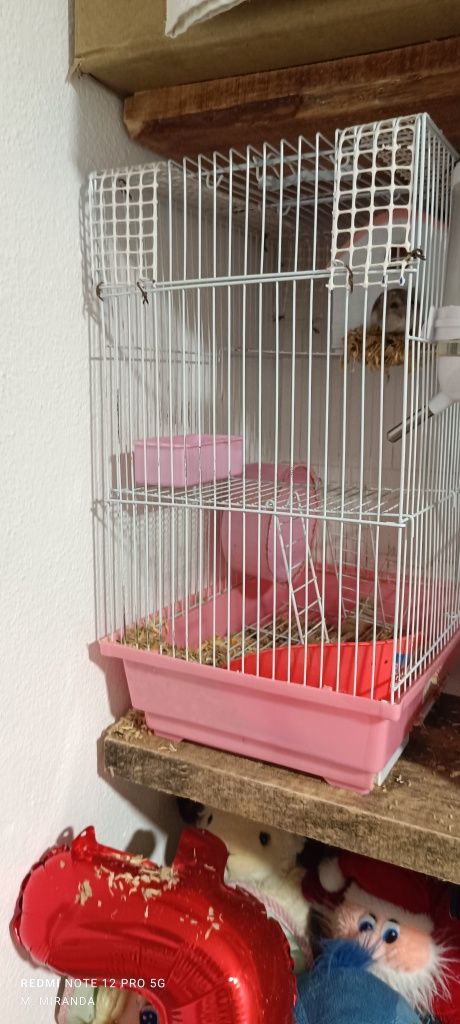 Gaiolas para hamster