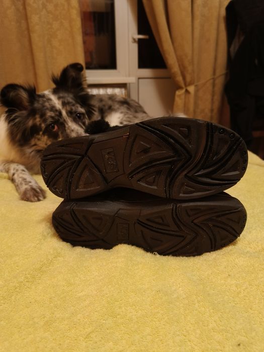 UGG caпоги 26см по стельке