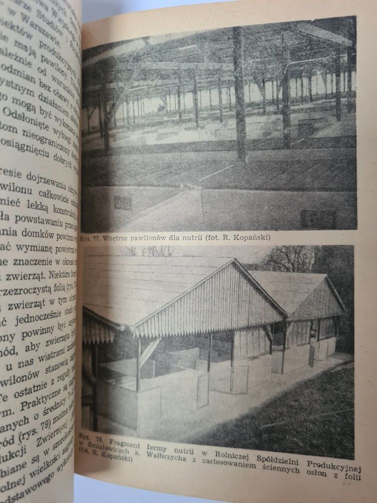 Chów nutrii - Roman Kopański. Książka