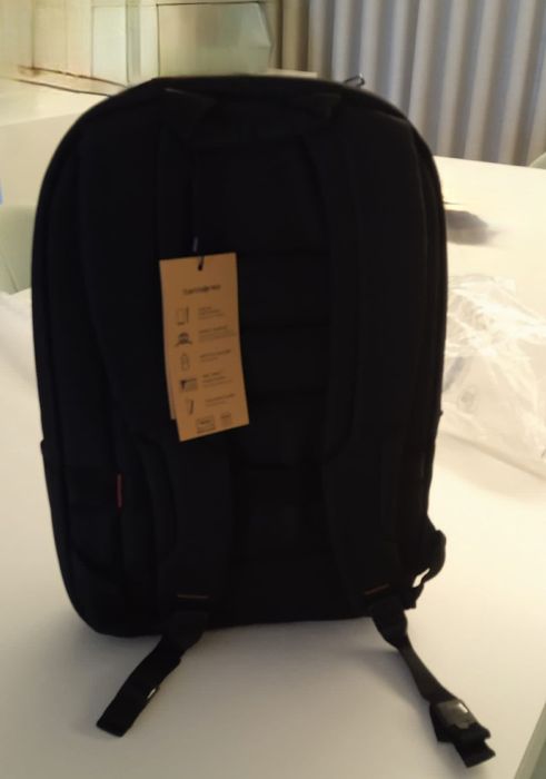 Samsonite Guardit 17"