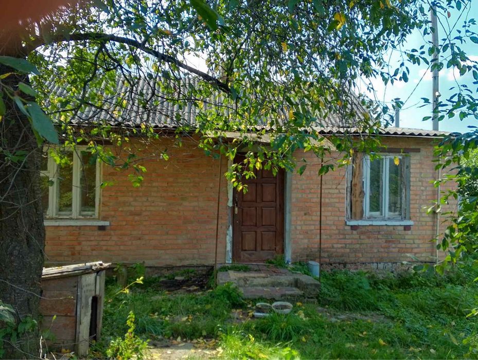 Продам будинок з 10 сотками землі, Борова, від власника!