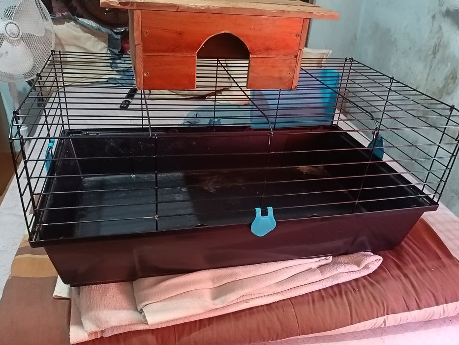 Vendo gaiola de coelho