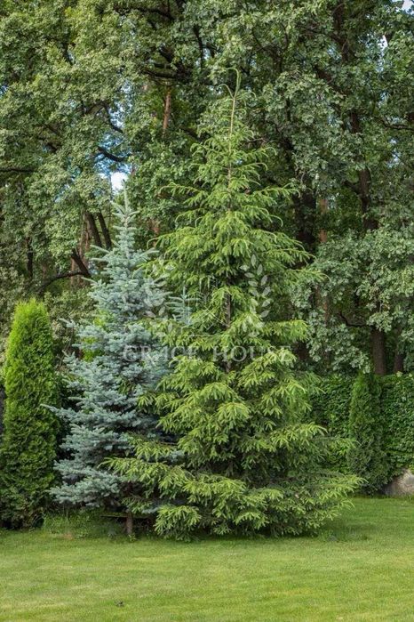 Продажа добротного дома с бассейном у леса Кременище Лесники Ходосовка