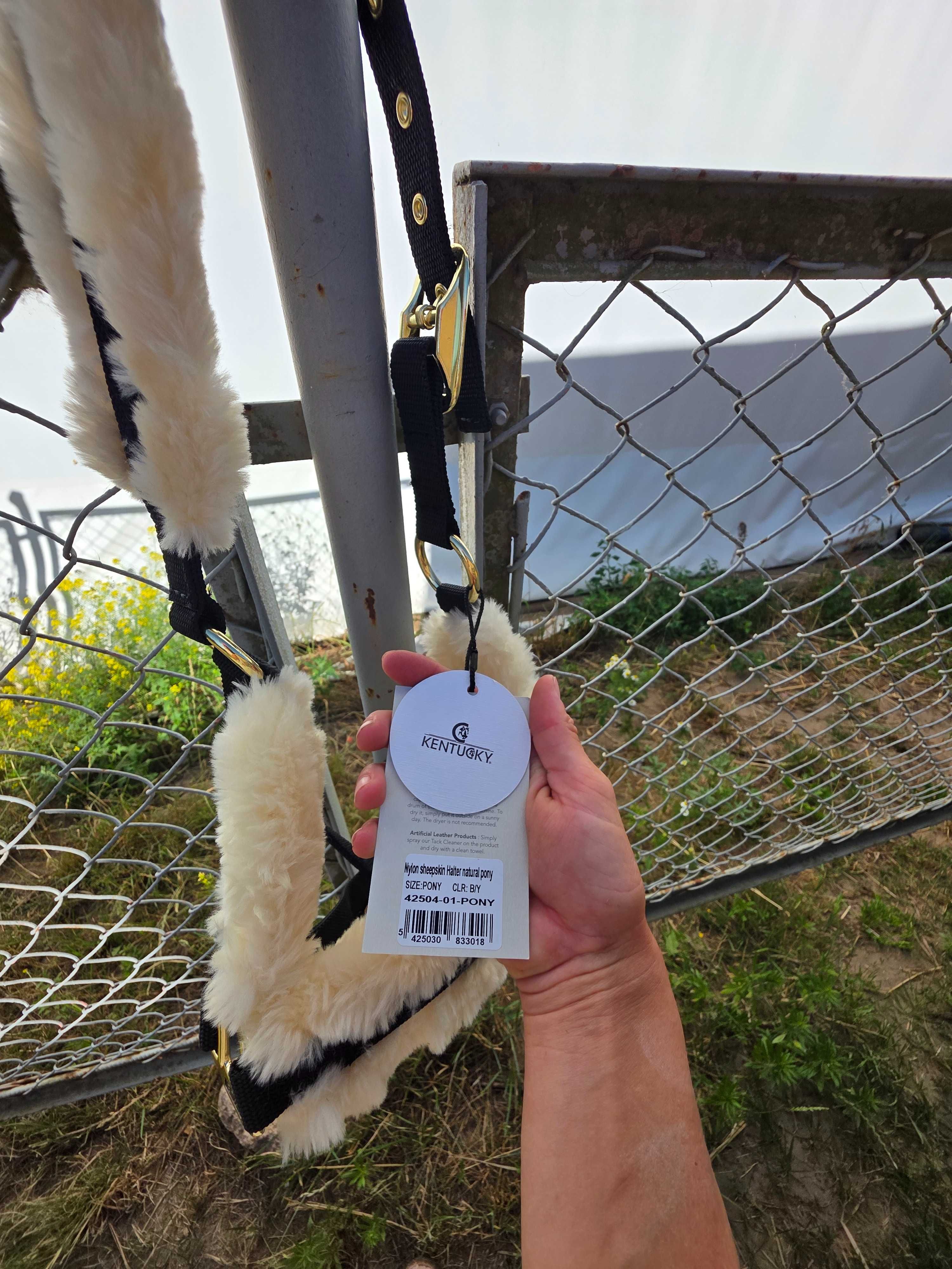 Kantar kentucky pony