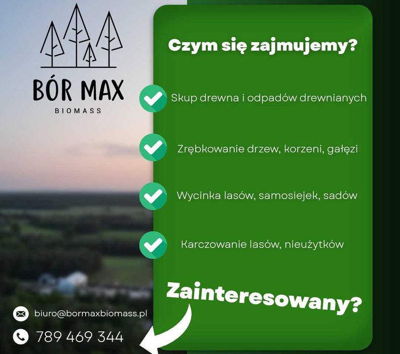 Wycinka drzew, zrębkowanie, wycinka samosiejek, mulczowanie