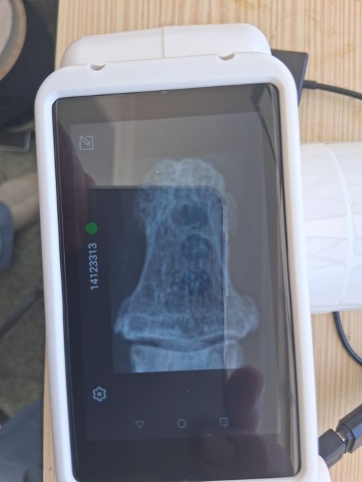 Raio-x portatel dentario novo
