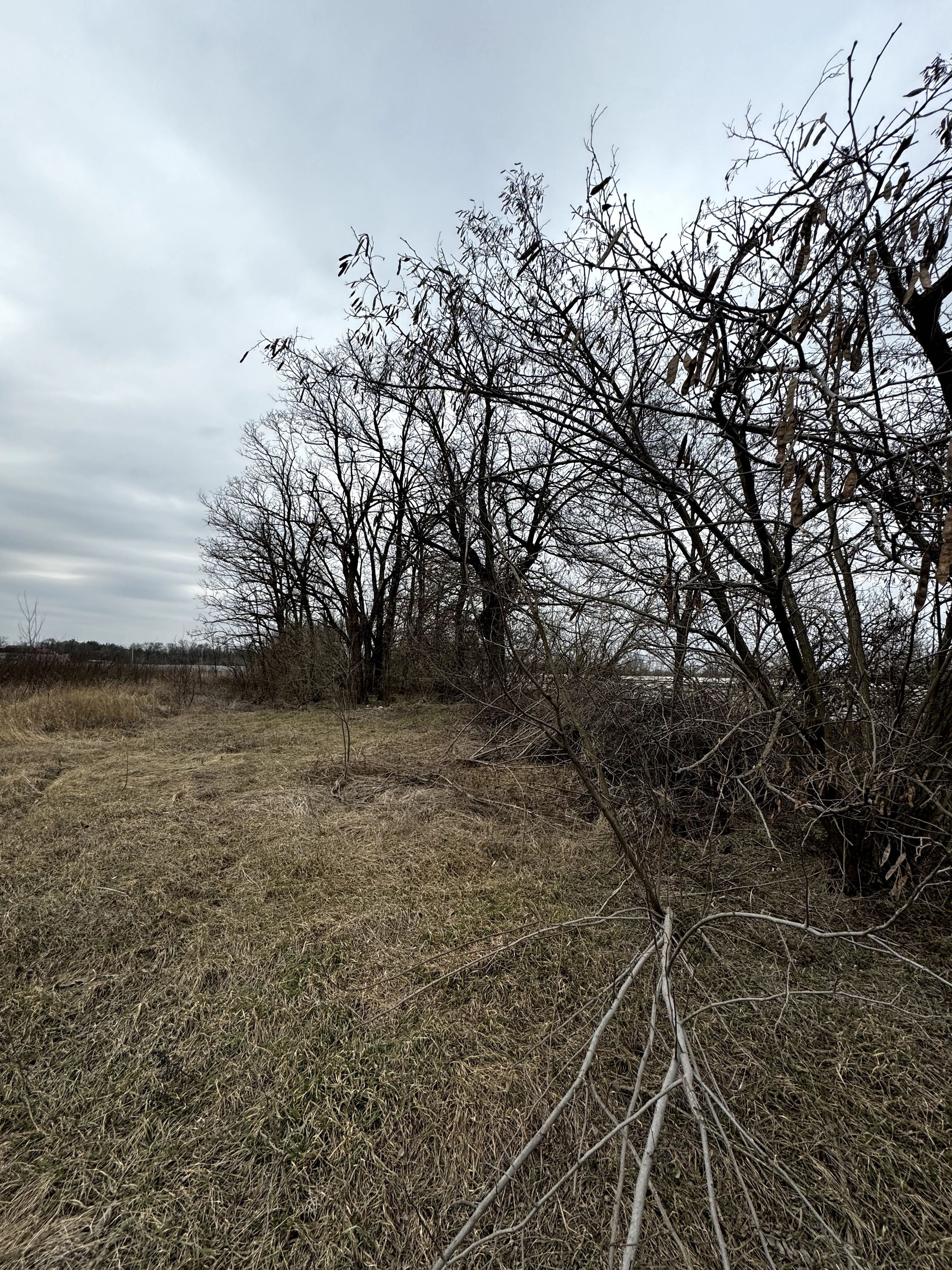 Продаж земельної ділянки для розміщення АЗС (Партизанське)