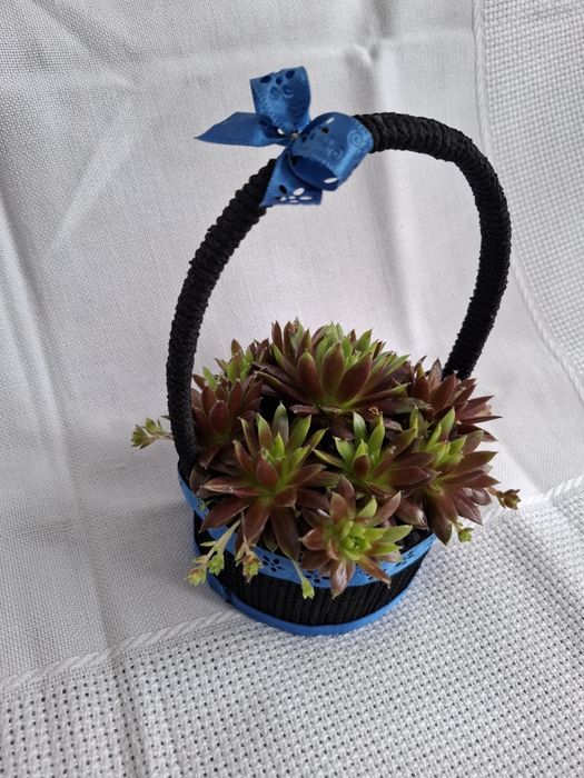 Koszyczek z rojnikami naturalnymi 20-13cm
