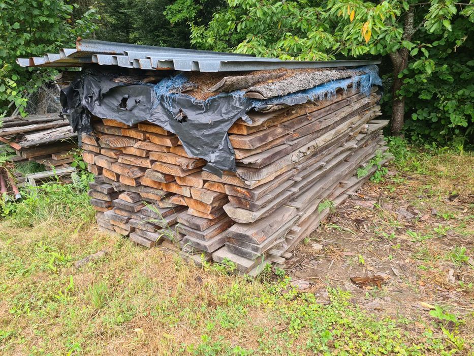 Foszty modrzewiowe
