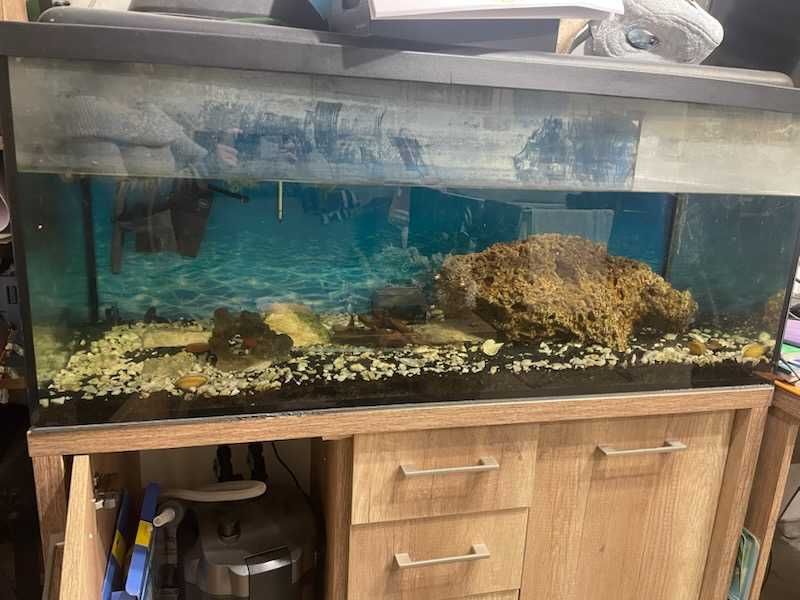 akwarium 300l z pompą bez szawki