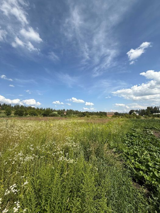 15 соток Західна окружна біля бази відпочинку “Мобі Дік” VRV ID: 34329