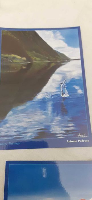 Liv2- Pack com 8 postais de golfinhos da autoria de António Pedroso