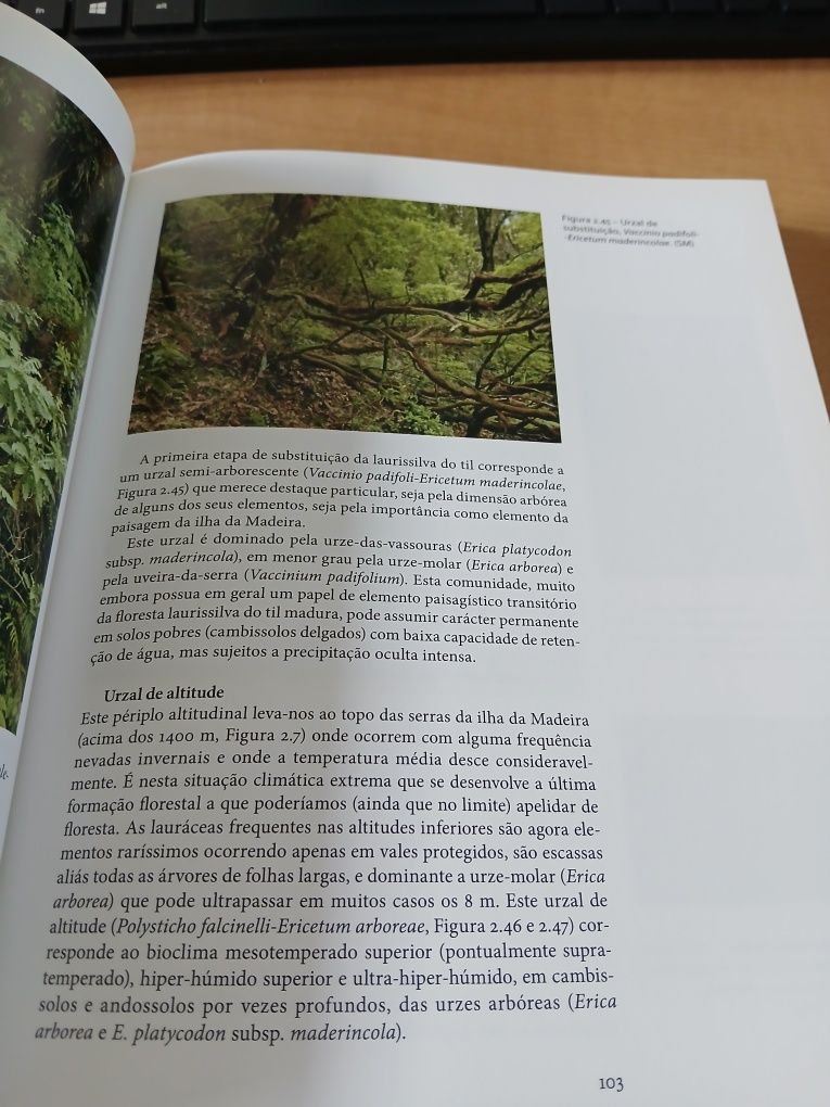 Açores e Madeira