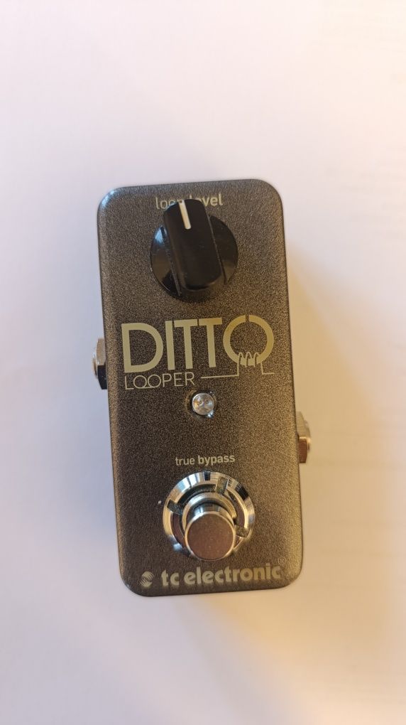 Looper DITTO tc electronics