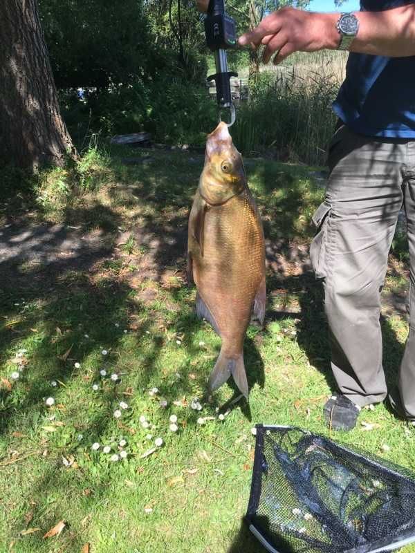 Domek letniskowy Mazury 2, nad jeziorem, wlasna linia brzegowa