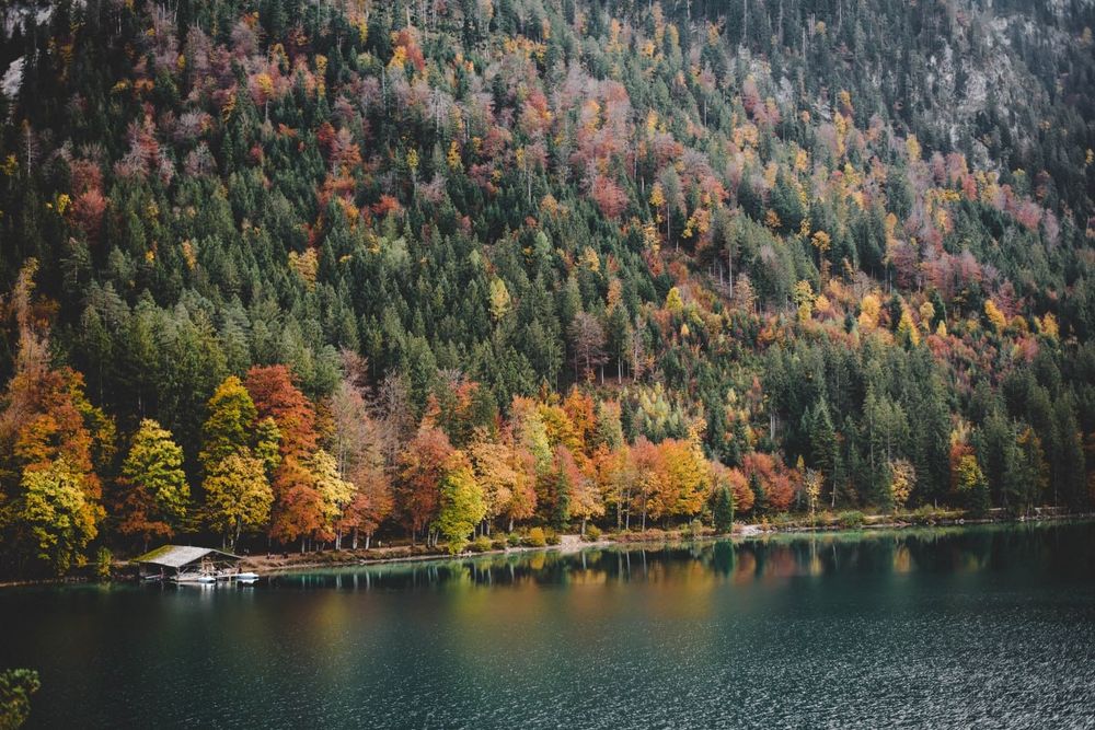 phoenix 19 35mm f3 5 4.5