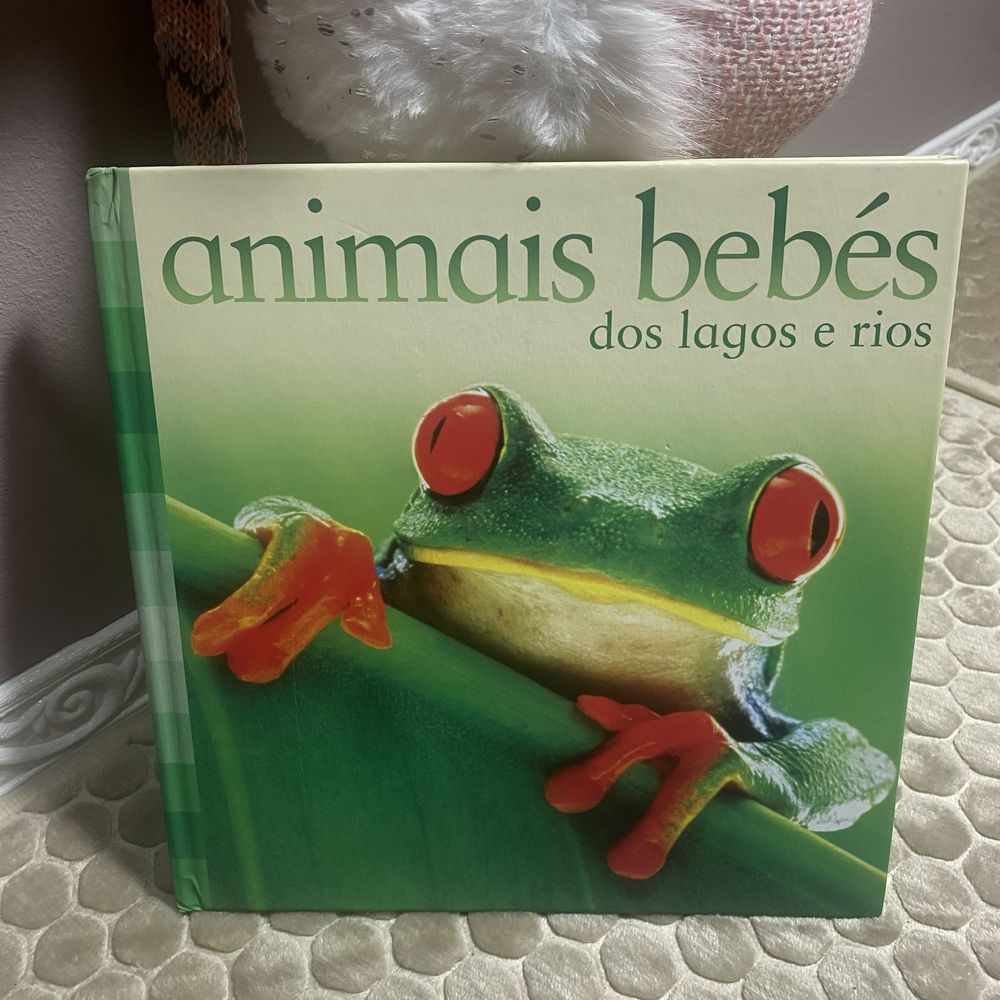 2 Livros Infantis