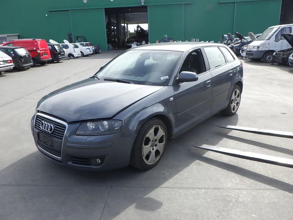 Portas Audi A3 Sportback 8PA 2.0 tdi 140cv 2006