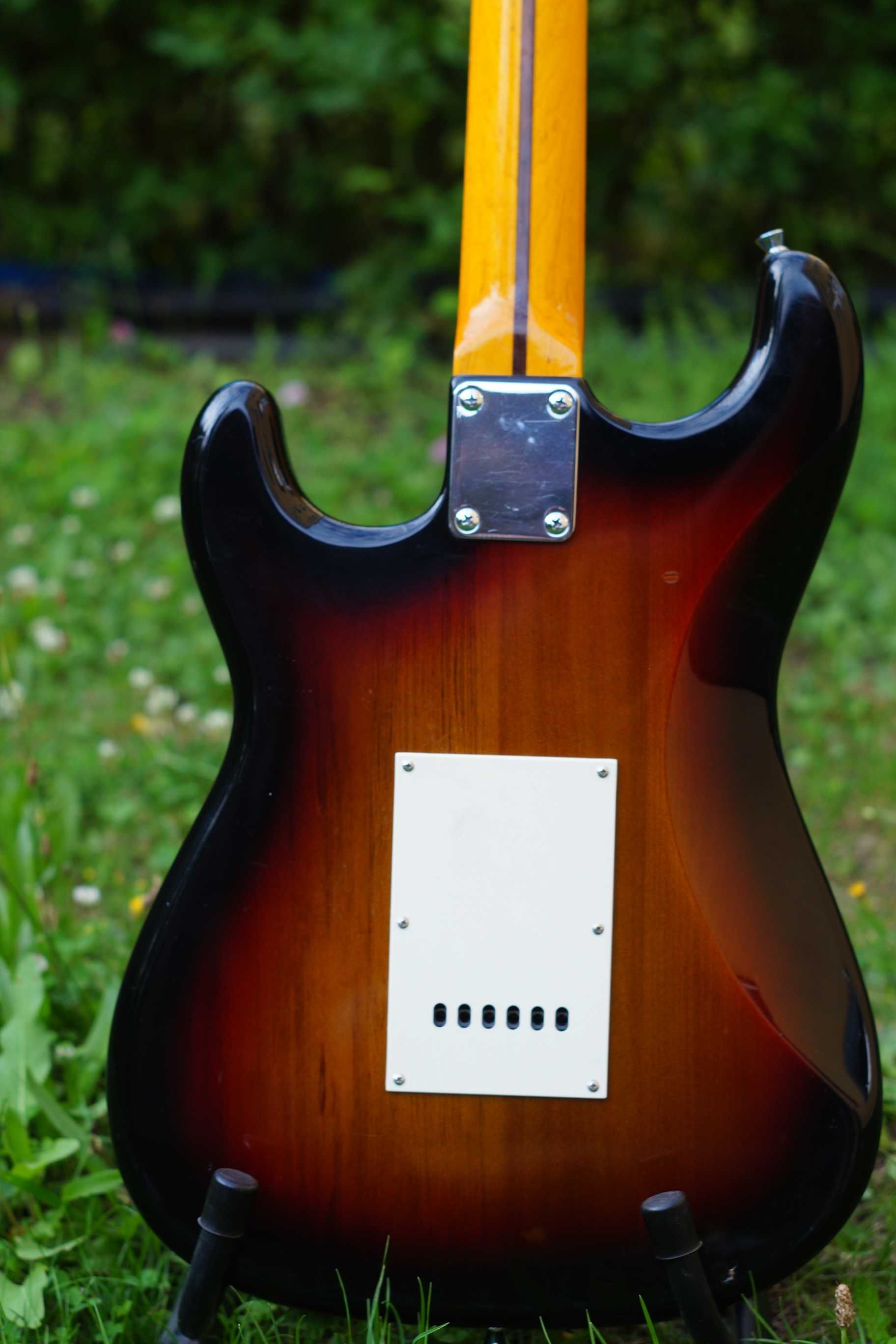 Richwood Stratocaster Gold Logo