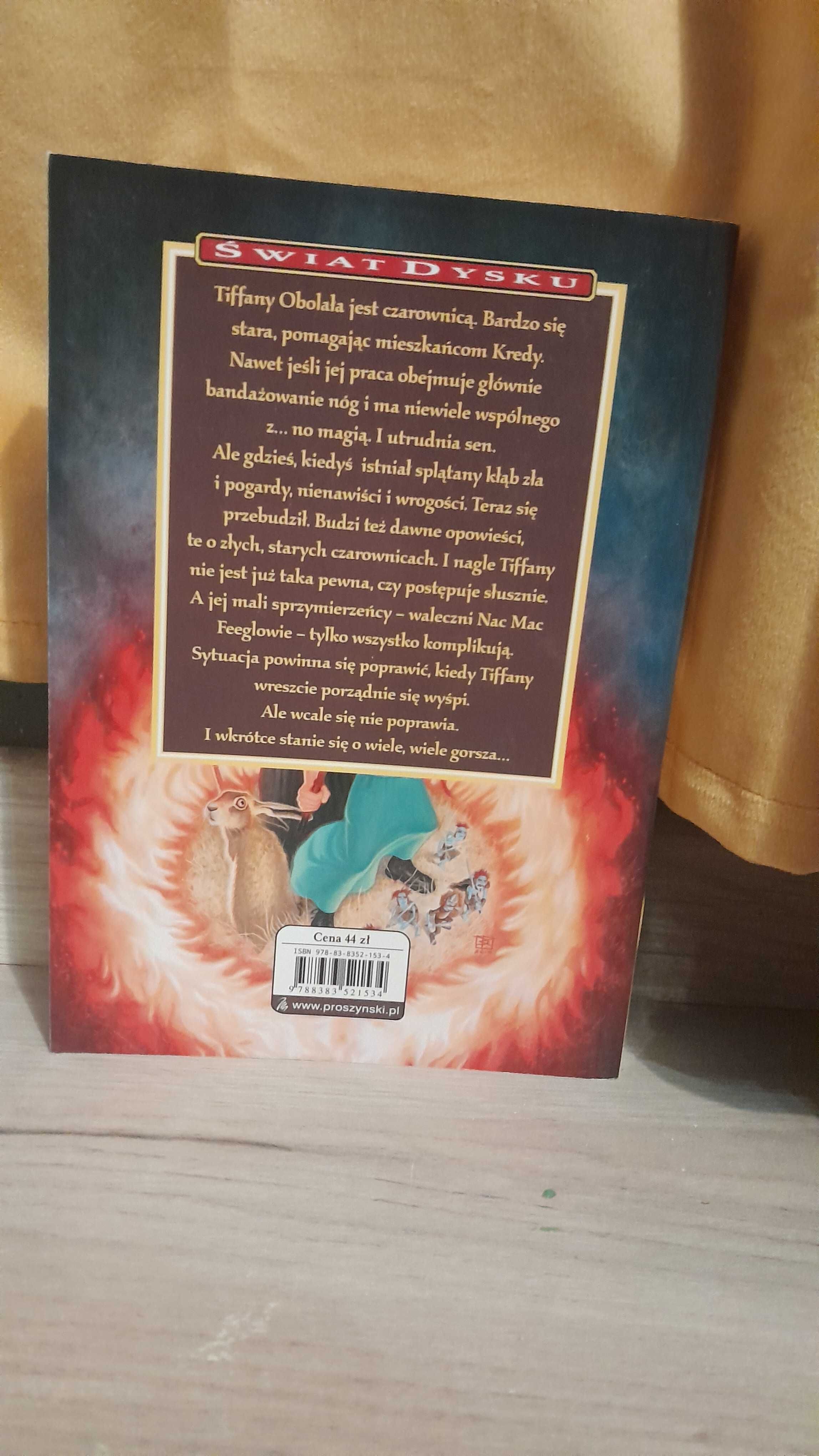 "W Północ się odzieję" Terry Pratchett