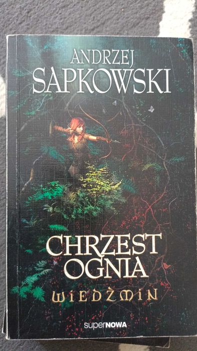 Wiedźmin A. Sapkowski