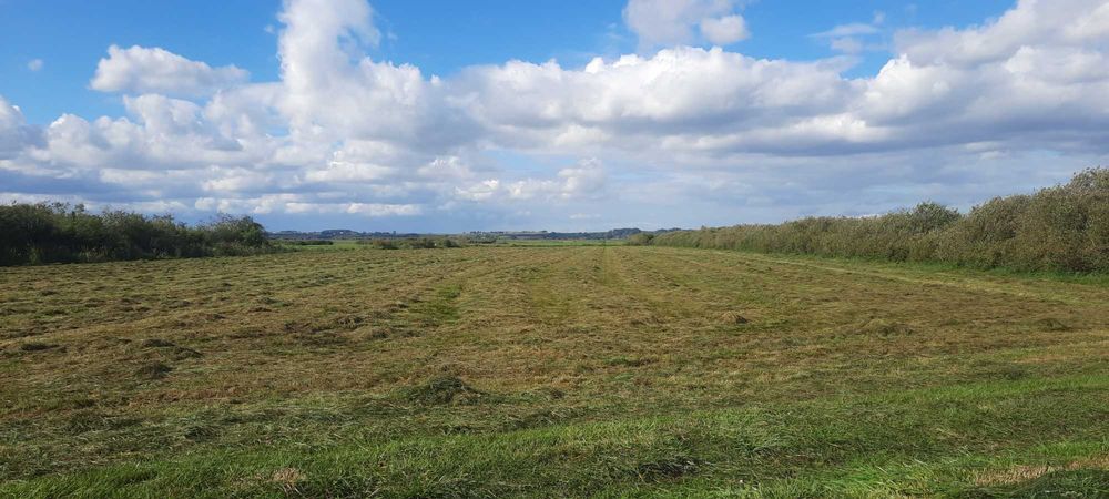 Grunt rolny - 4,85ha