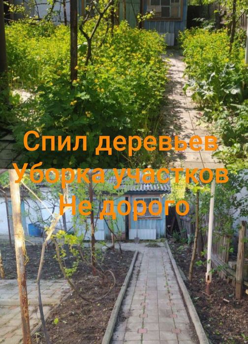 Спил деревьев любой сложности