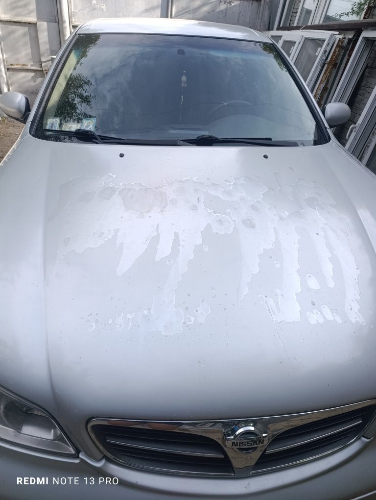 Nisan maxima QX.