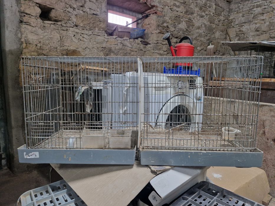 Gaiolas de 80cm usadas