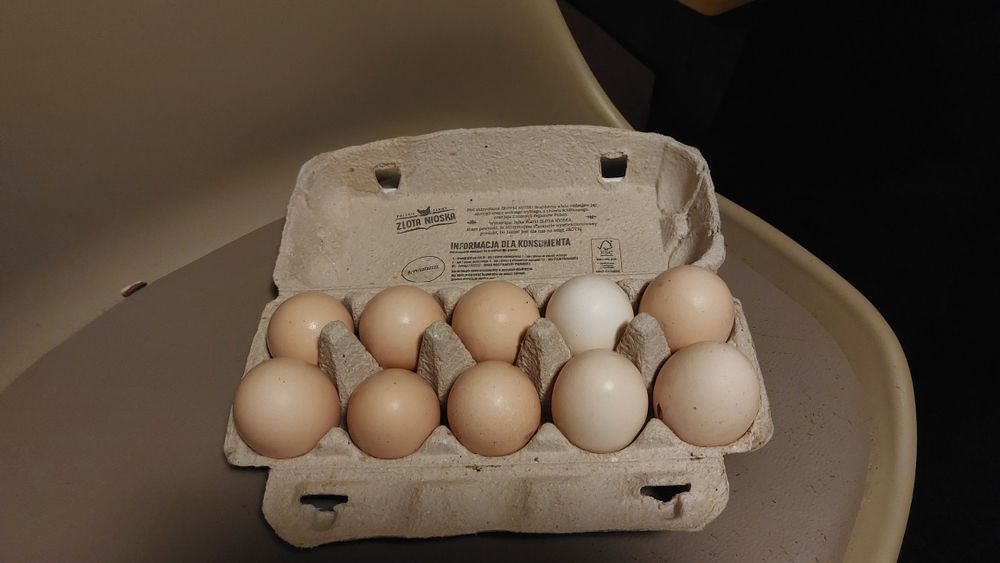Mam na sprzedaż jajka wiejskie