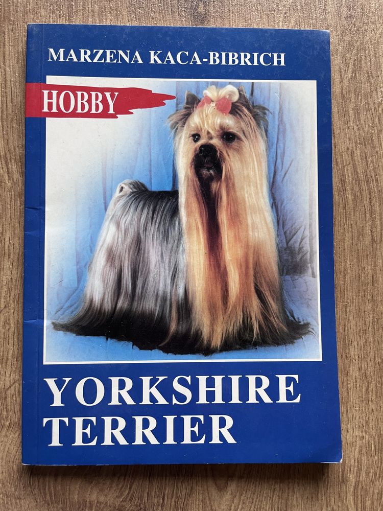 Yorkshire terrier Marzena Kaca-Bibrich