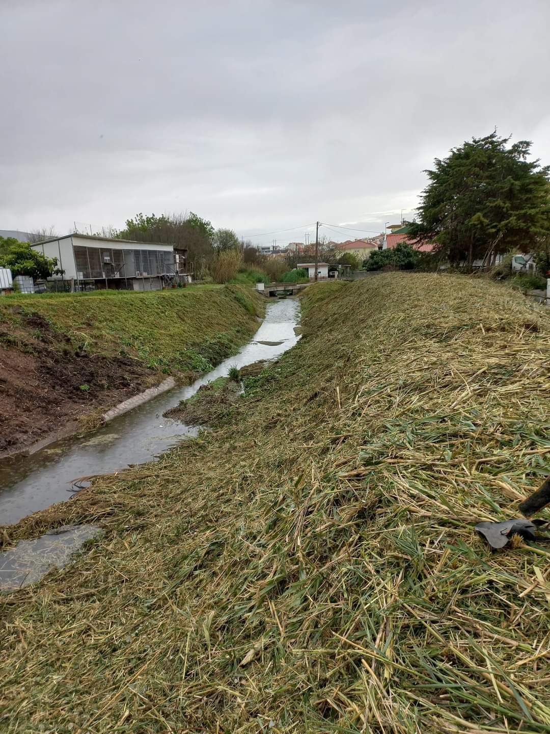 Limpeza de terreno