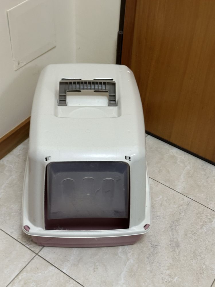 Caixa de areia para gato
