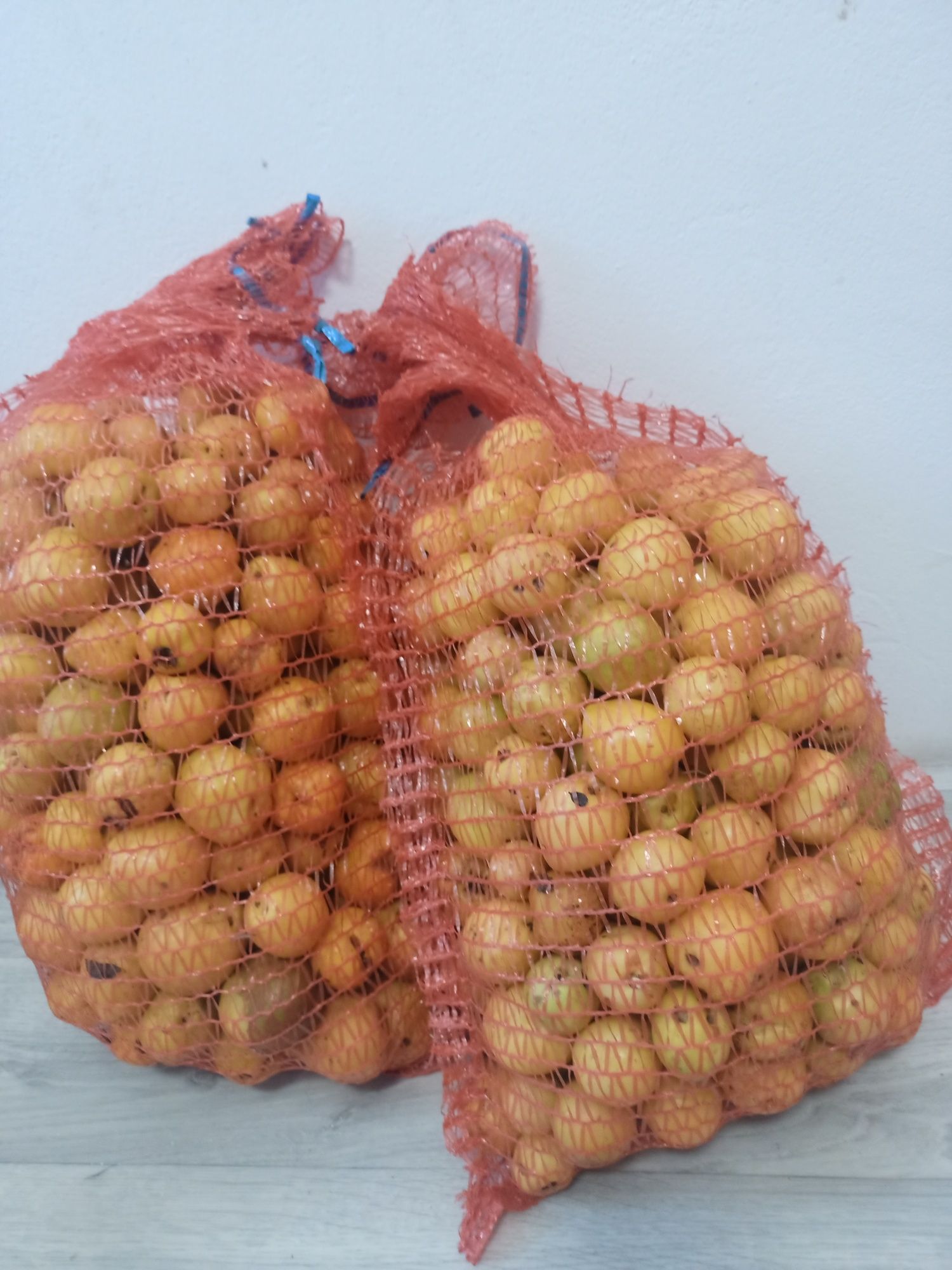 Pigwowiec japoński 10 kg 2 sort