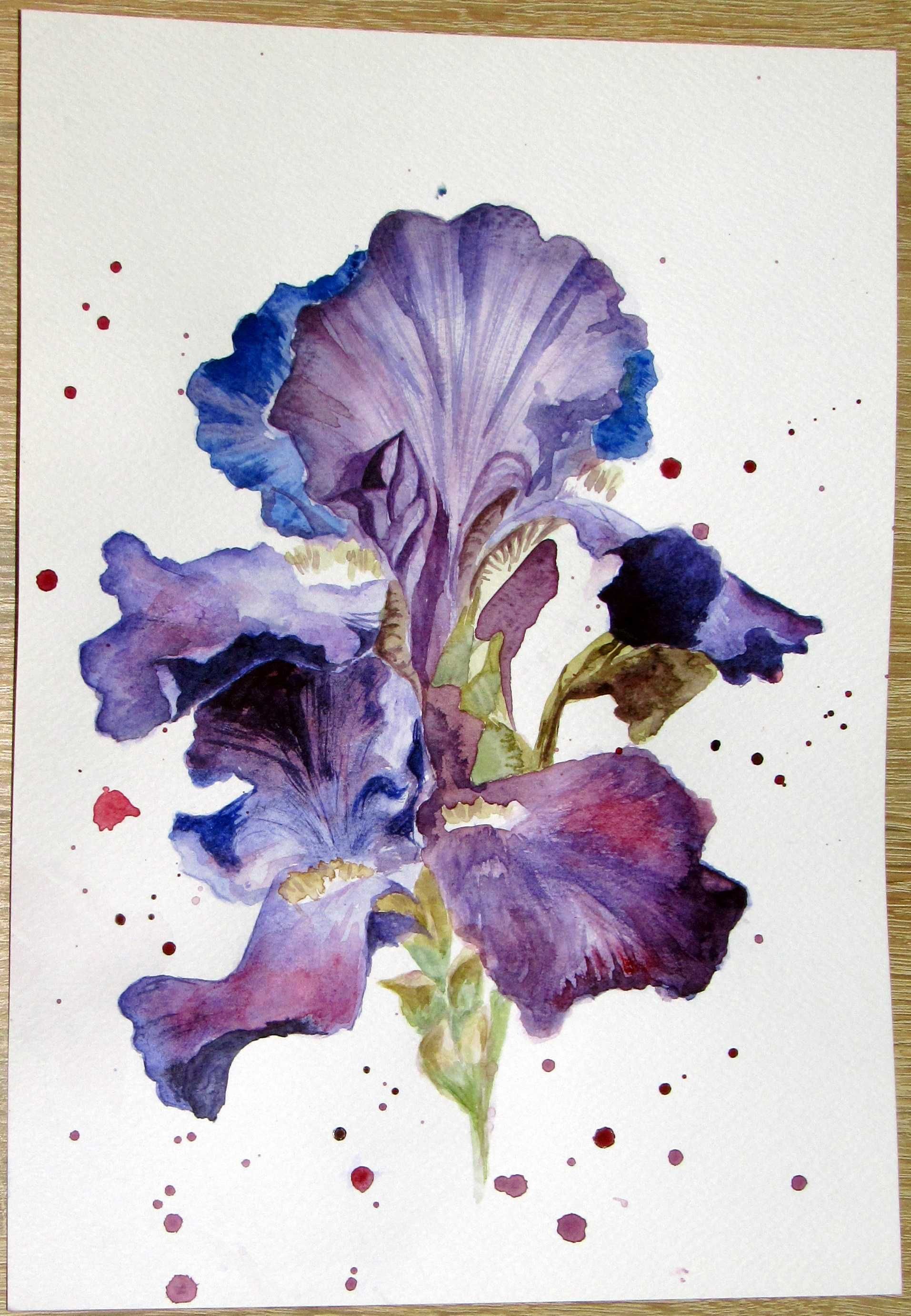 Картина Рисунок Живопись Акварель А4 цветы ирис без рамки