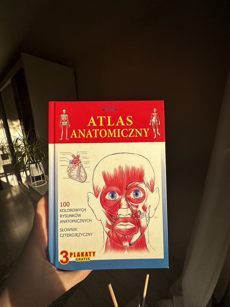 atlas anatomiczny