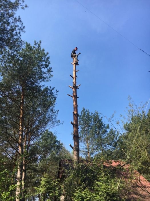 Wycinka drzew podnośnik, usługi ogrodnicze, rębak, podnośnik 30m !