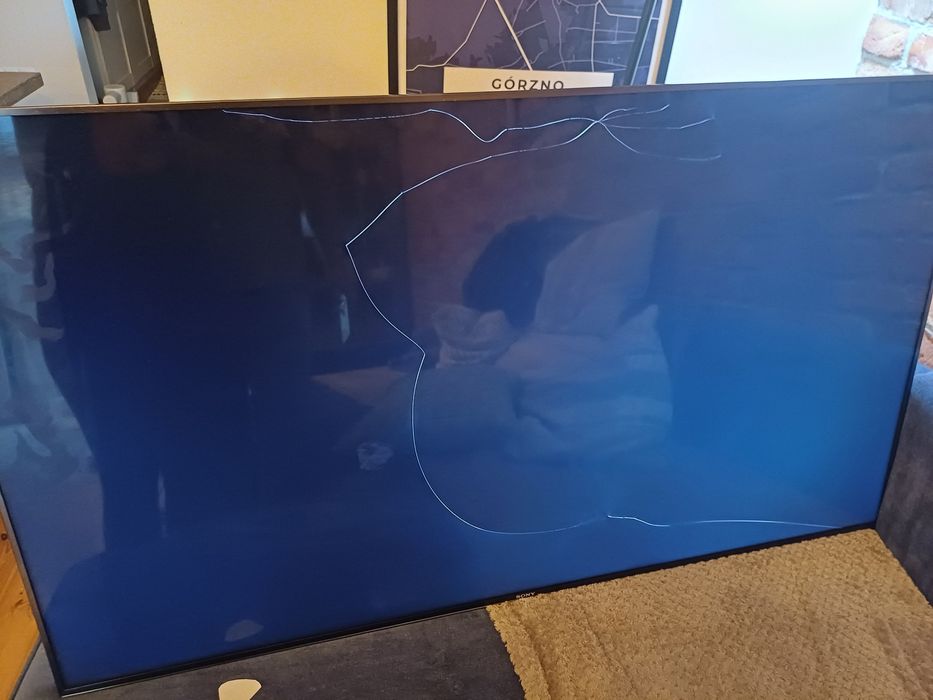 Telewizor Sony 55 cali z uszkodzona matryca