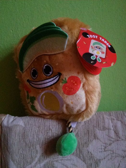 tost Tadek , zabawka , biedroniak